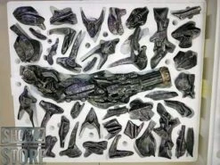 HEAT Studio 1/6 Custom Made Shockwave Statue -Prime Collectibles Store 4a8d2dc44f