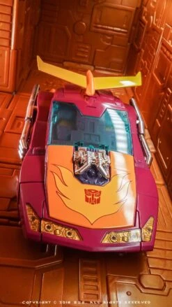 Wild Kids Display Bases 10 Pieces & 2 Robotic Arms & 18 Connector (Orange, Purple) 16 Wild Kids Display Bases 10 Pieces & 2 Robotic Arms & 18 Connector (Orange, Purple) -Prime Collectibles Store 8bb560ffba