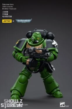 JoyToy Source 1/18 Warhammer 40K Salamanders Intercessors Brother Haecule 13 JoyToy Source 1/18 Warhammer 40K Salamanders Intercessors Brother Haecule -Prime Collectibles Store ae967ec95f 1