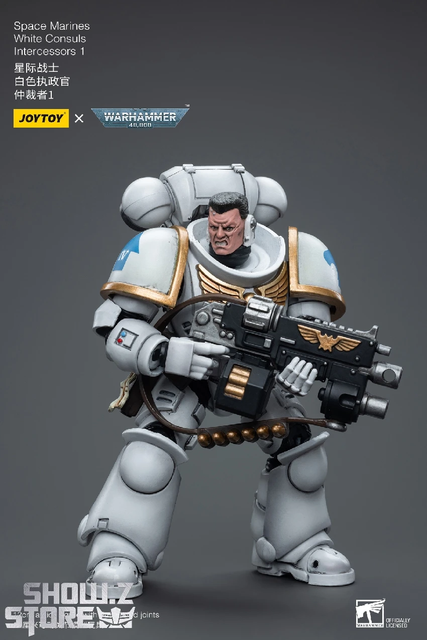 JoyToy Source 1/18 Warhammer 40K Space Marines White Consuls Intercessors 1 10 JoyToy Source 1/18 Warhammer 40K Space Marines White Consuls Intercessors 1 - Image 8